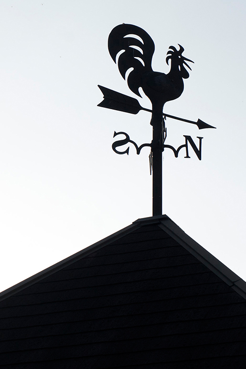 ニホンノカタチ